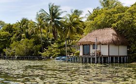 Lagoon Front Hut: Daily Cleaning, Bikes & Kayaks!